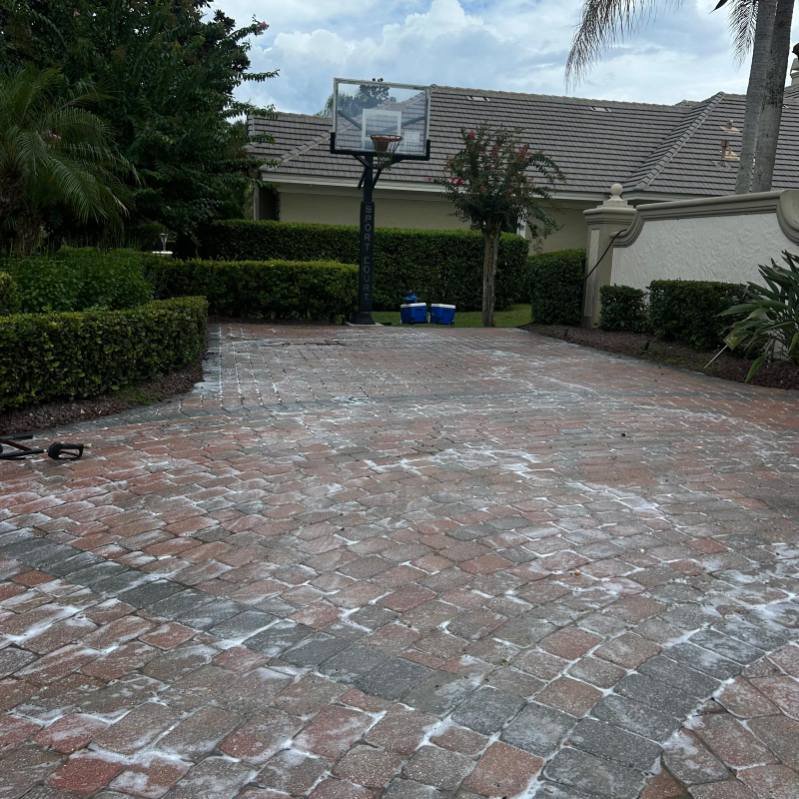 Paver driveway before cleaning